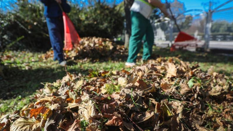 Életed kockázatát vállalod, ha így próbálsz megszabadulni a zöldhulladéktól – nem lesz nevetés, ha rajtakapnak!