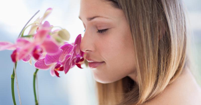 Te is tapasztaltad már, hogy az orchideáid gyorsan elhervadnak? Egy különleges trükköt osztunk meg veled, amit sokan esküsznek, és ami segíthet megőrizni a virágok szépségét!