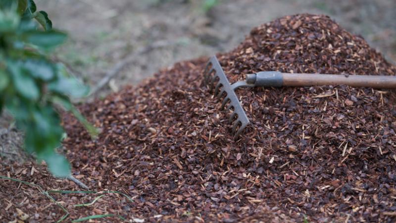 Íme néhány kreatív javaslat a növényeid védelmére a hideg időszakban: 7 praktikus ötlet, amelyek segítenek megőrizni a zöld barátaid egészségét - Agrárium Szektor.