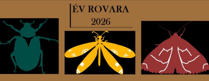 Barackos illatú bogár és a cukros nedűt élvező lepke verseng a legkiválóbb rovar címéért.