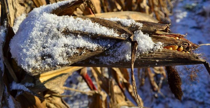 Ez a tél izgalmas kihívásokat tartogat számunkra, és a februárban különösen nehéz pillanatokkal nézhetünk szembe.