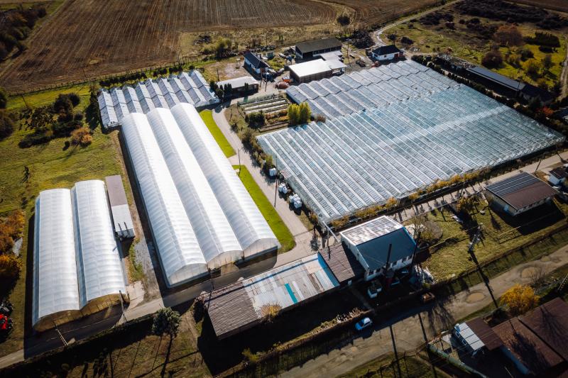 A marosvásárhelyi Városi Kertészet újabb izgalmas fejlesztéseken ment keresztül: mostantól napelemes rendszer működik a területen, és egy megújult kutyamenhely is várja az állatbarátokat.