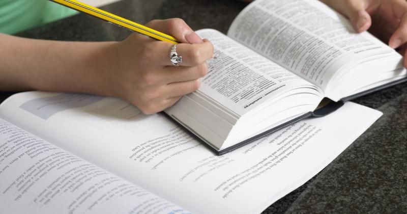 Biztos lehetsz benne, hogy nem fogsz munkanélkül maradni, ha elsajátítod ezt a nyelvet!